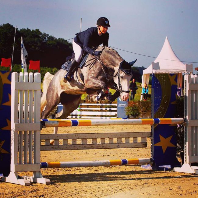 Mira VD Roeshoeve 4 jährige Mira VD Roeshoeve