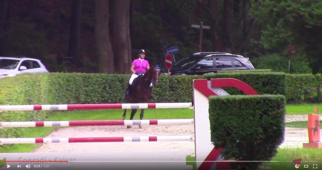 Ultimo – Springprüfung S** Herbstmeeting in Neuwied